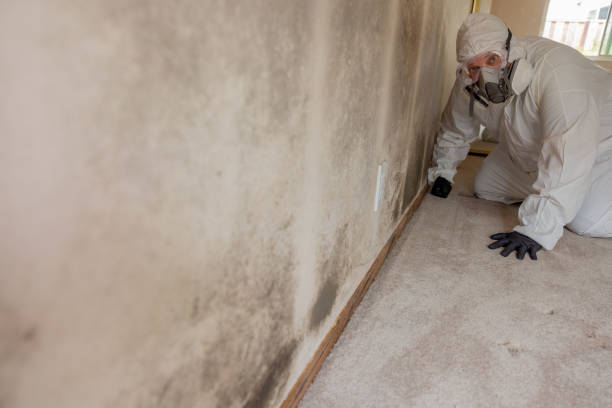 Best Real Estate Mold Inspection  in West Deland, FL