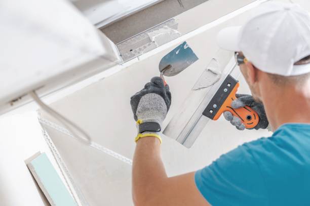 Best Mold Documentation for Insurance Claims  in West Deland, FL
